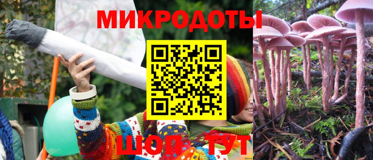 Галлюциногенные грибы прущие грибы  Псилоцибиновые грибы GOLDEN TEACHER  Тара  купить закладку  Вход с VPN 